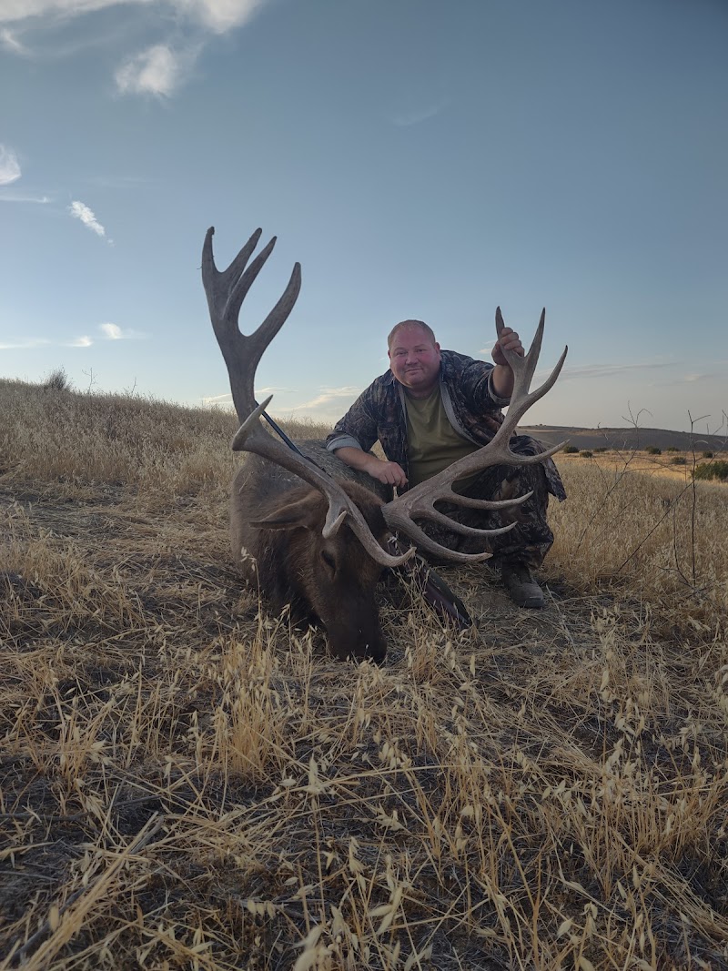 Twisselman Outfitters tule elk hunts - Photo 6