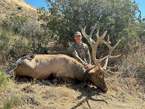 Twisselman Outfitters tule elk hunts - Photo 5