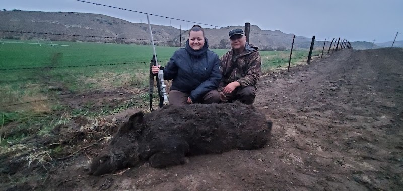 Twisselman Outfitters tule elk hunts - Photo 1