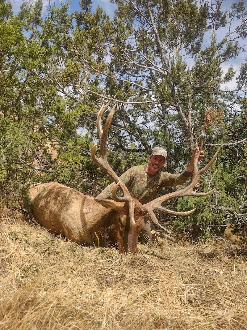 Twisselman Outfitters tule elk hunts - Photo 3