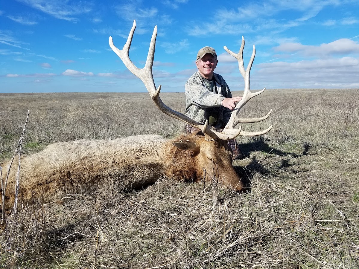 Twisselman Outfitters tule elk hunts