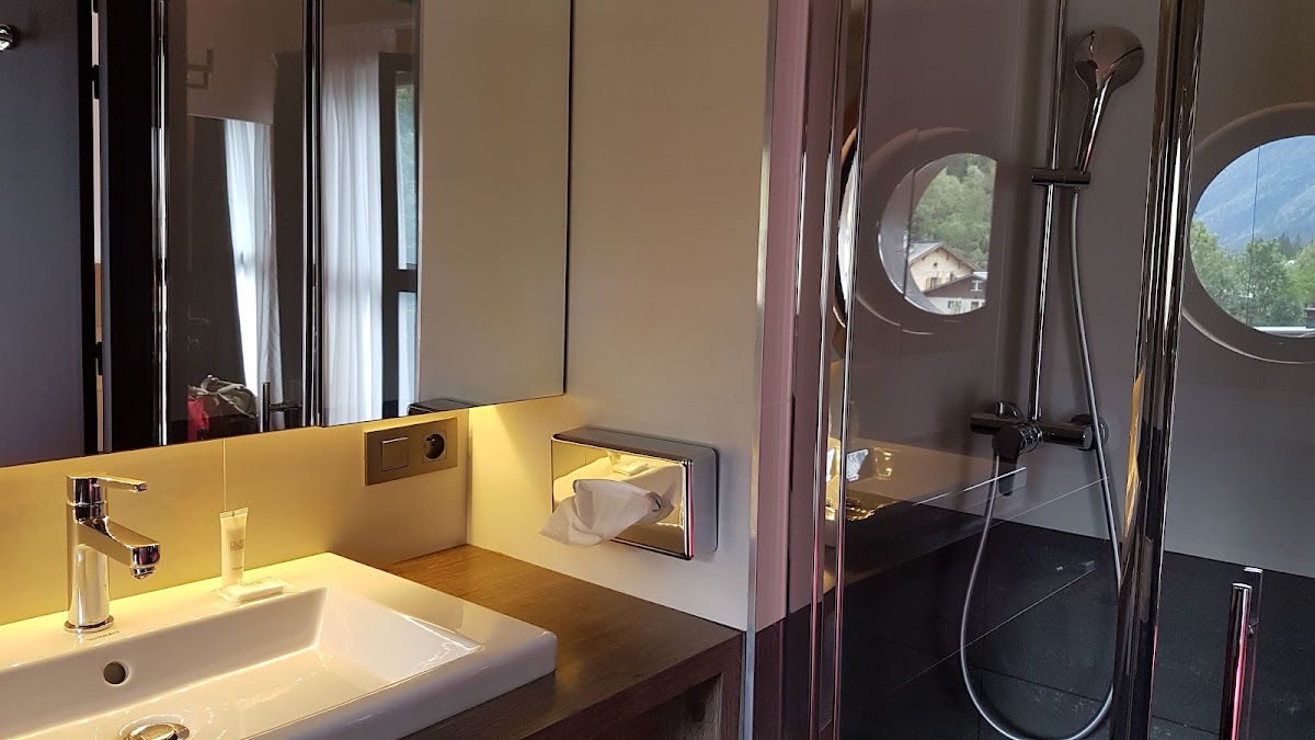 Excelsior Chamonix Hôtel & Spa, dog-friendly hotel, photo 3