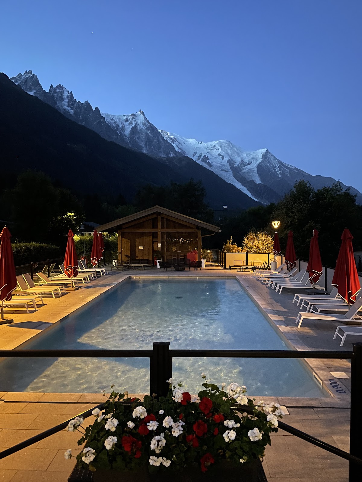 Excelsior Chamonix Hôtel & Spa, dog-friendly hotel, photo 4