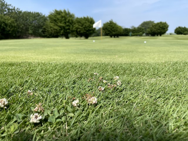 Musashino Golf Center - Photo 2