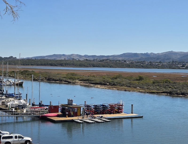 Bayside Cafe photo 4