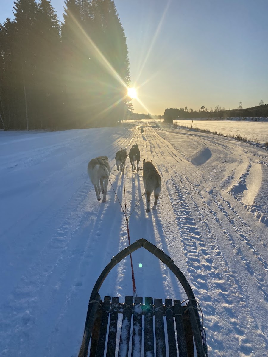 STF Sälen Torgåsgården