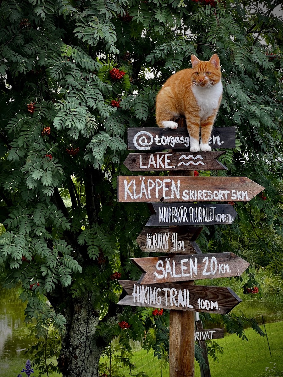 STF Sälen Torgåsgården