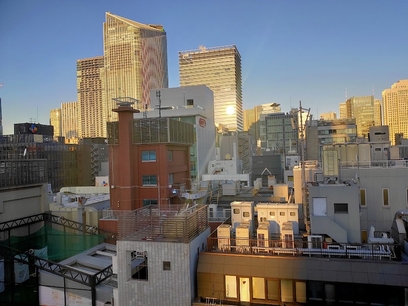 Shimbashi Urban Hotel