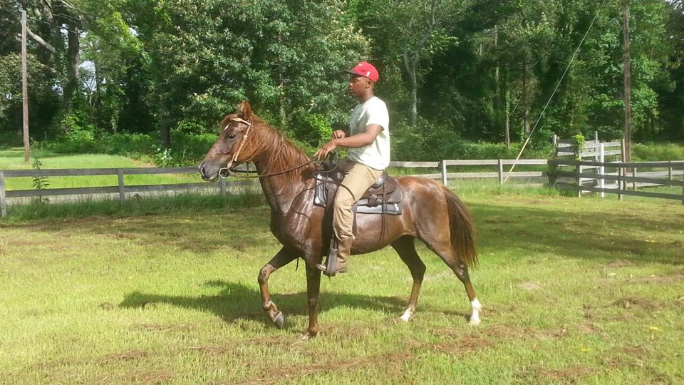 St John Ranch Louisiana Horse Riding