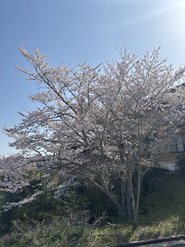 Aoyama Kogen Country Club - Photo 10