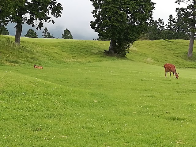 Hakone Yunohana Golf Course - Photo 2