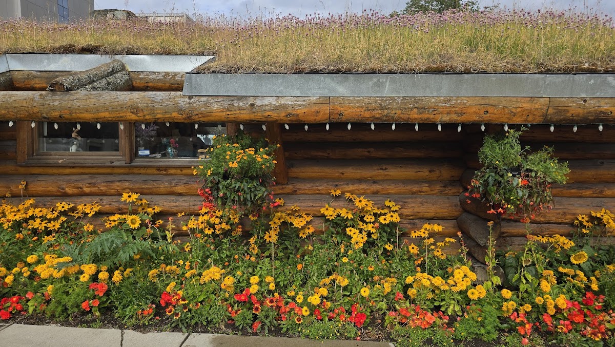 Visit Anchorage Log Cabin Visitor Information Center photo 3