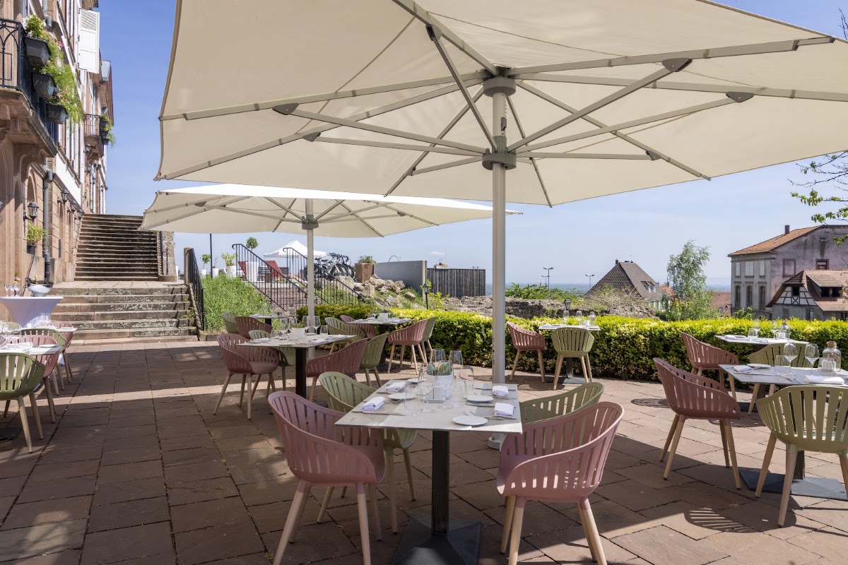 Hôtel Val-Vignes Colmar Haut-Koenigsbourg, dog-friendly hotel in Colmar
