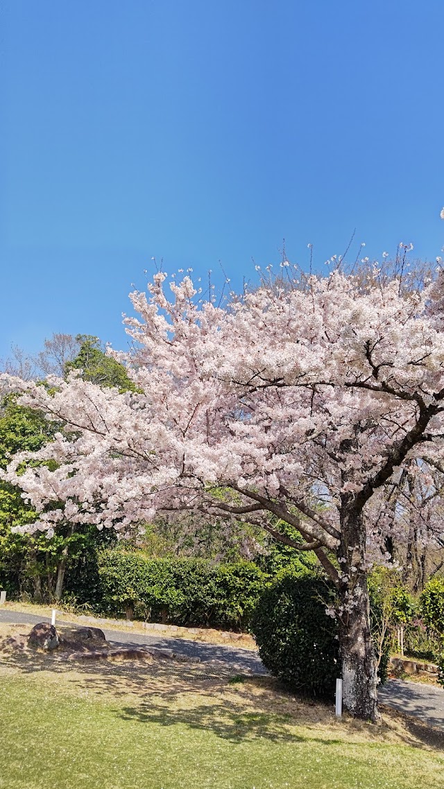 Shin Okayama Golf Club - Photo 6