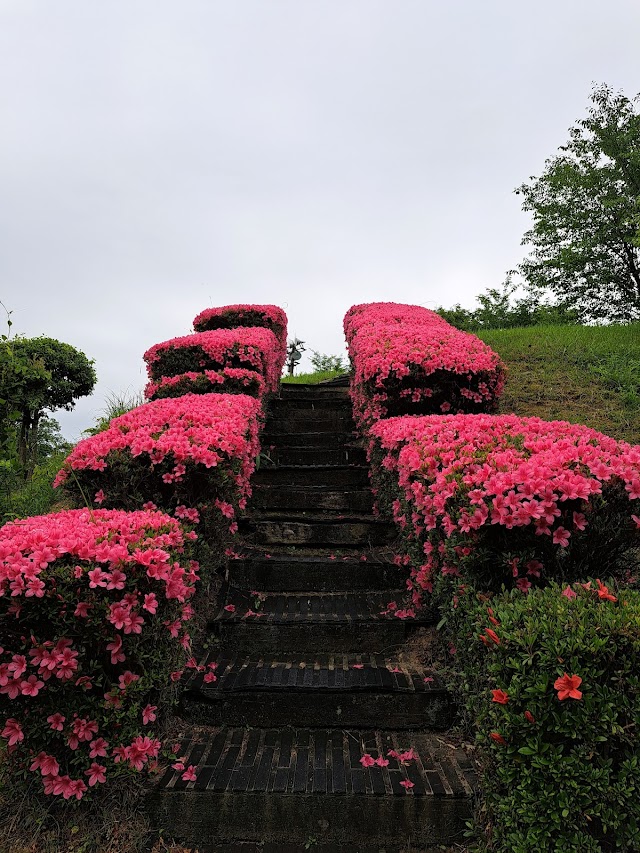 Shin Okayama Golf Club - Photo 8