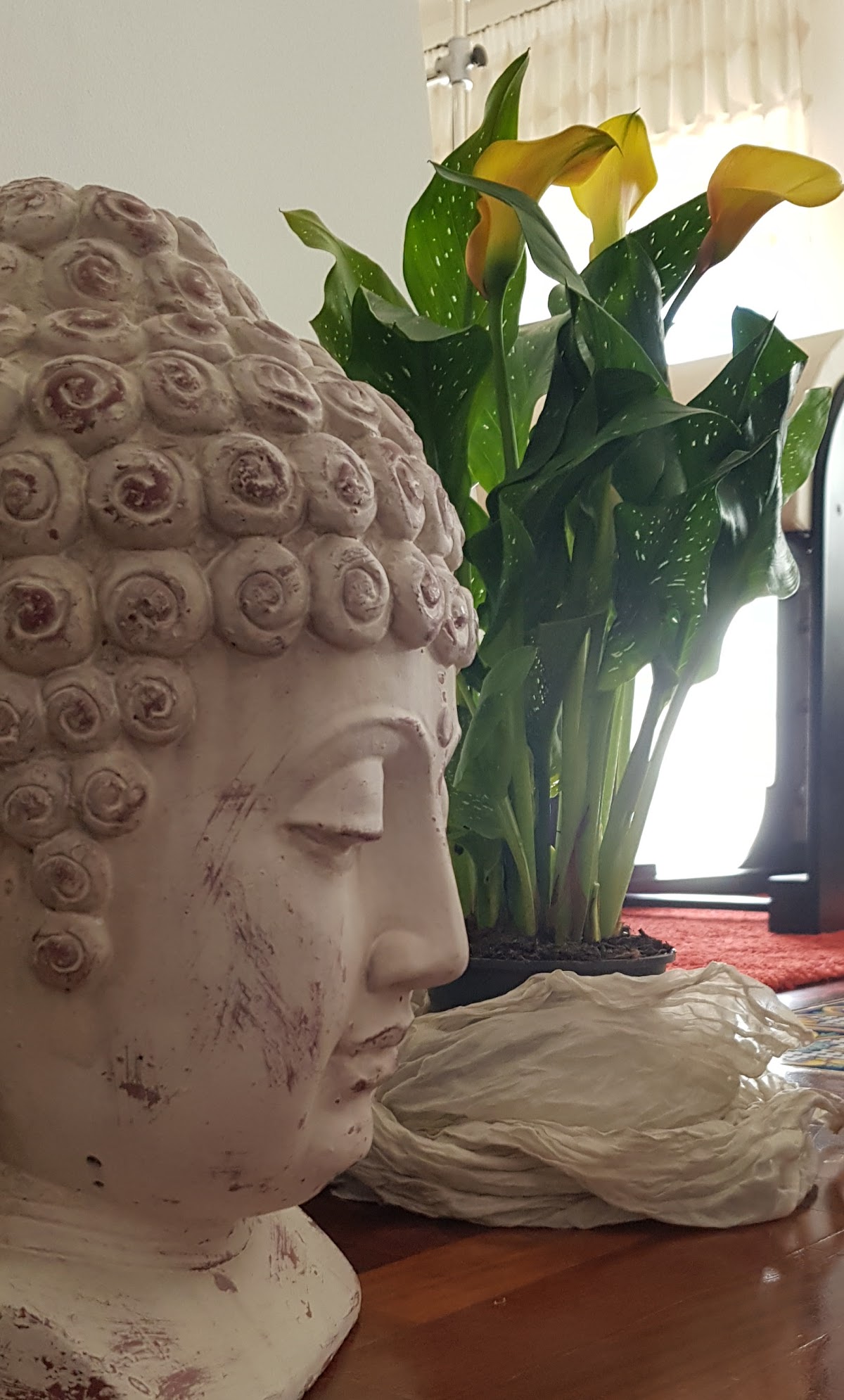 Ashtanga Yoga Shala Sicilia — 3