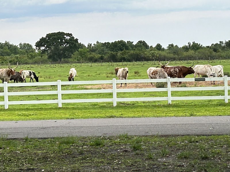 River Ranch RV Resort - Photo 3