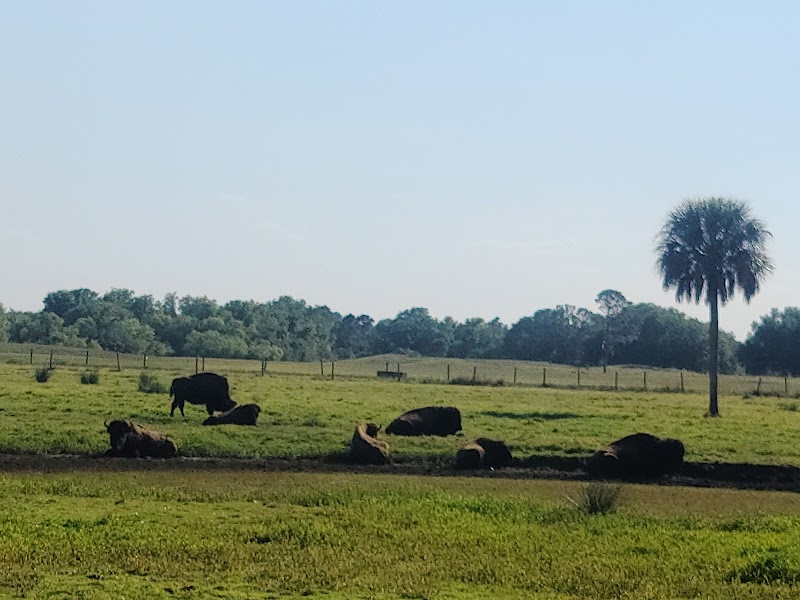 River Ranch RV Resort - Photo 6