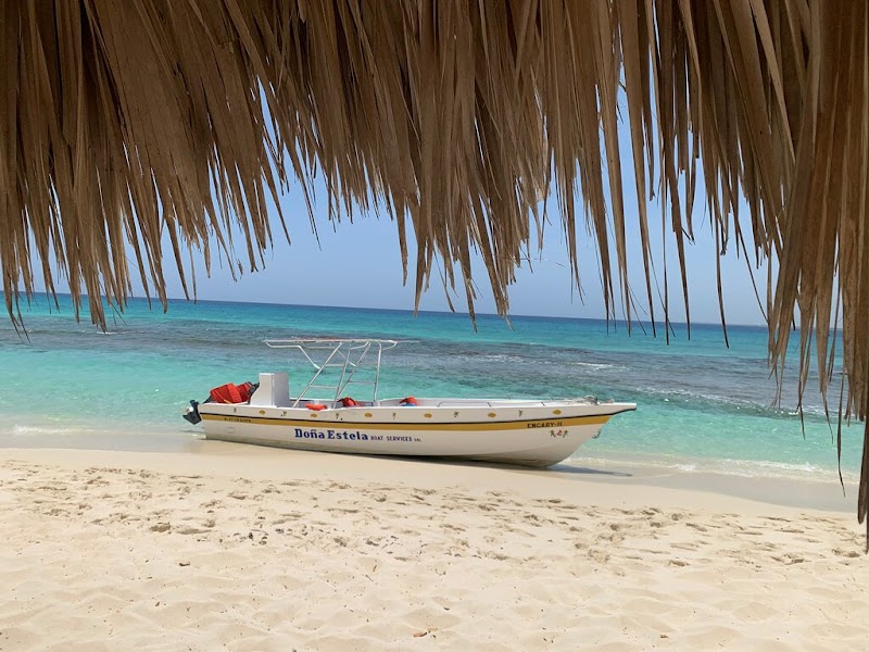 Tropical Paradise Excursions