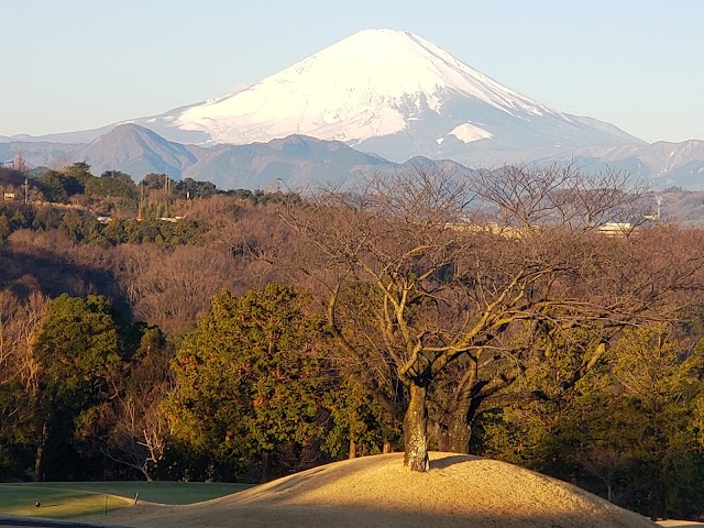 Lakewood Golf Club - Photo 4