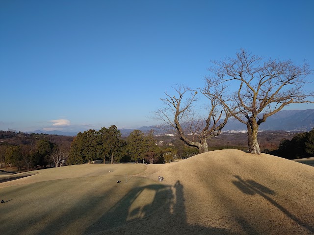 Lakewood Golf Club - Photo 10