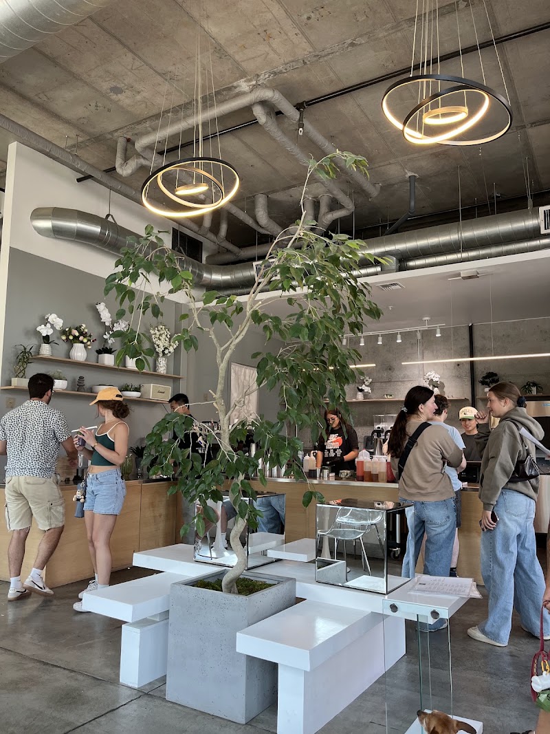 Project Matcha photo 4