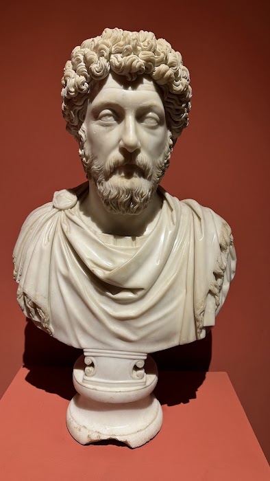 Efes Arkeoloji Müzesi fotoğraf 1