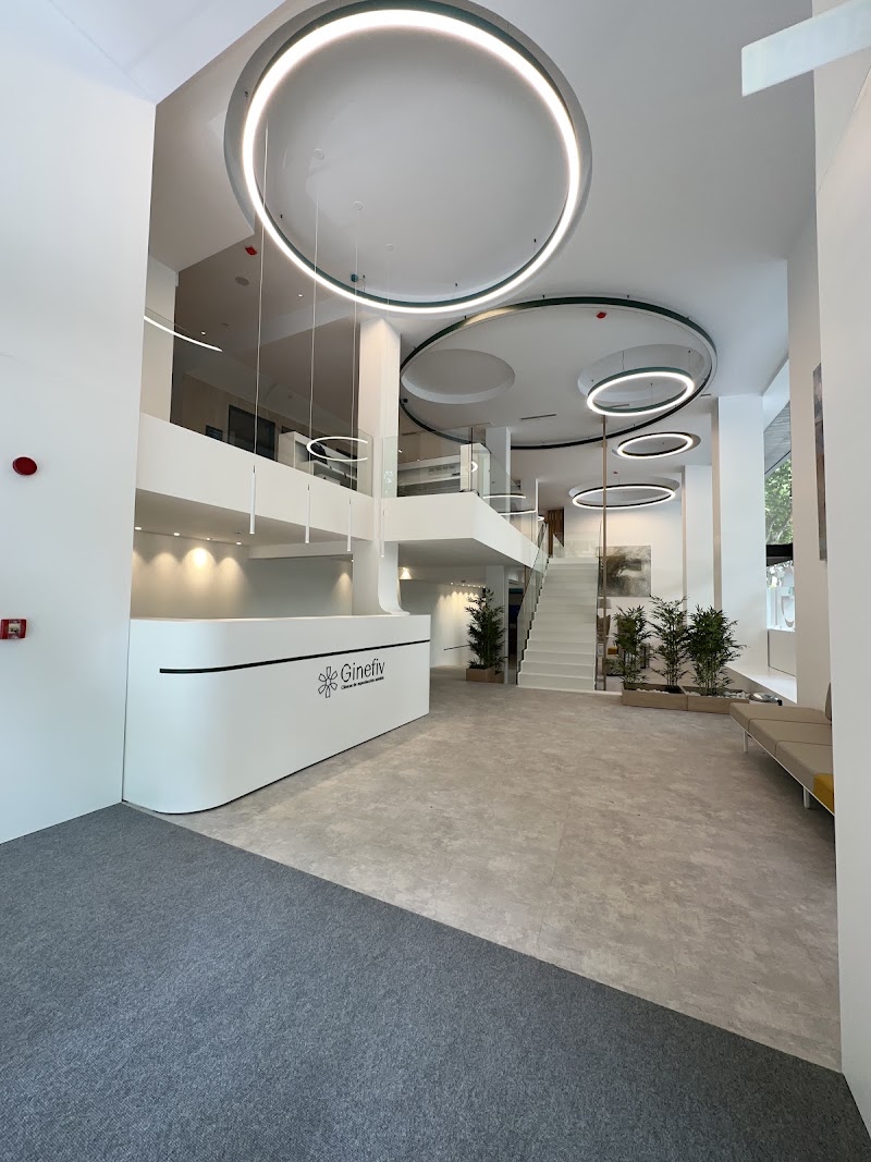 Gallery 1