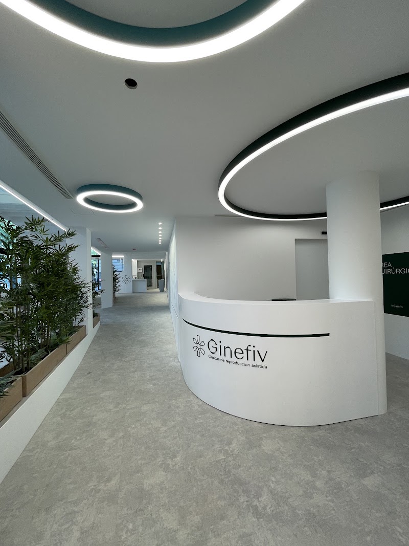 Gallery 5