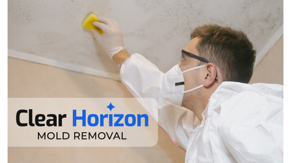 Clear Horizon Mold Removal — photo