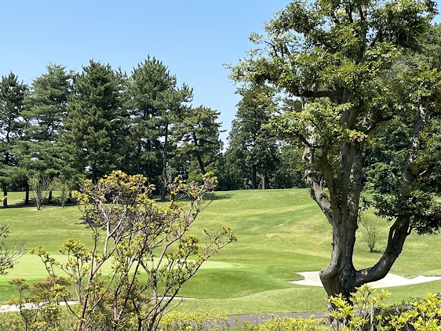 Tsunegaya Country Club - Photo 10