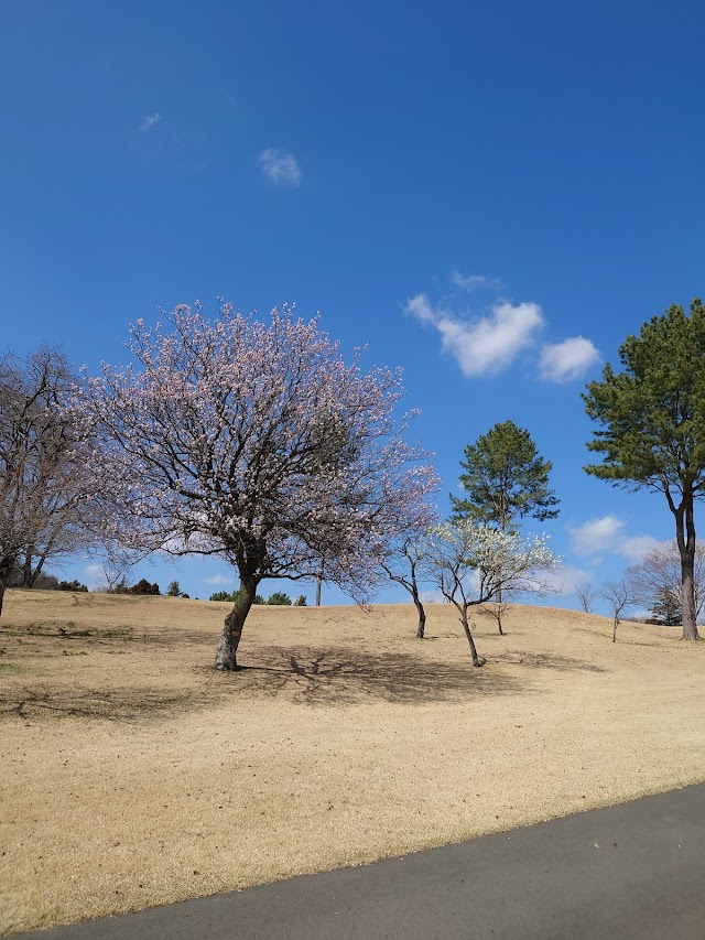 Tsunegaya Country Club - Photo 5