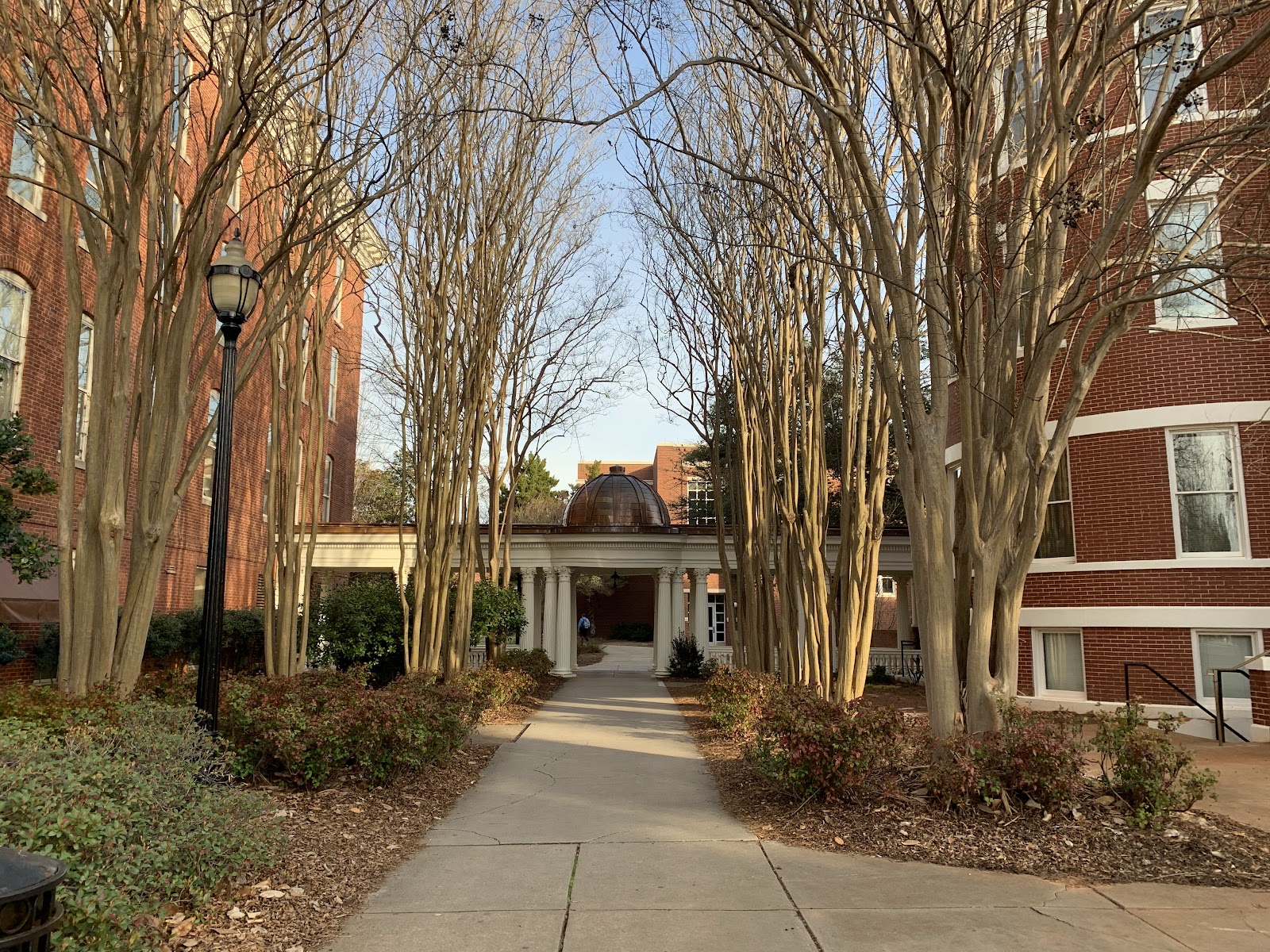 ジョージアカレッジ&州立大学（Georgia College & State University）（Milledgeville、ジョージア州）