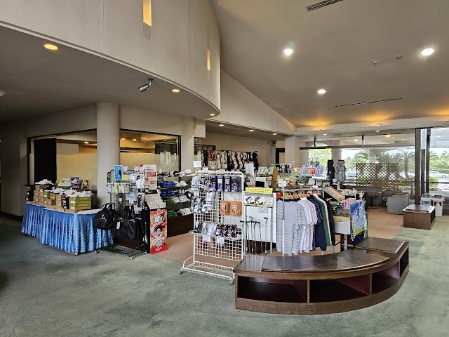 Hibiscus Golf Club - Photo 6