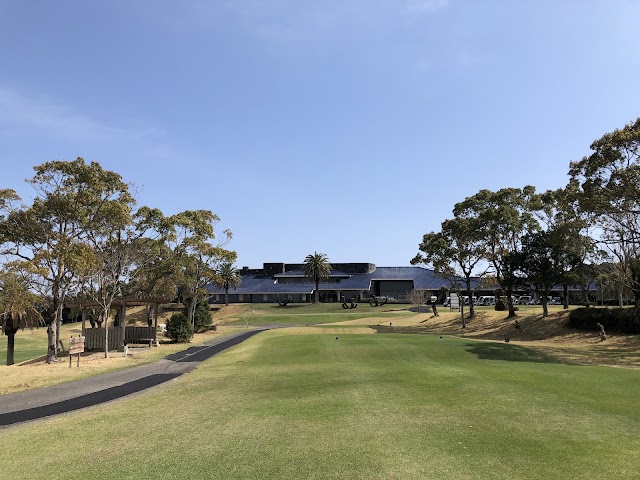 Hibiscus Golf Club - Photo 4