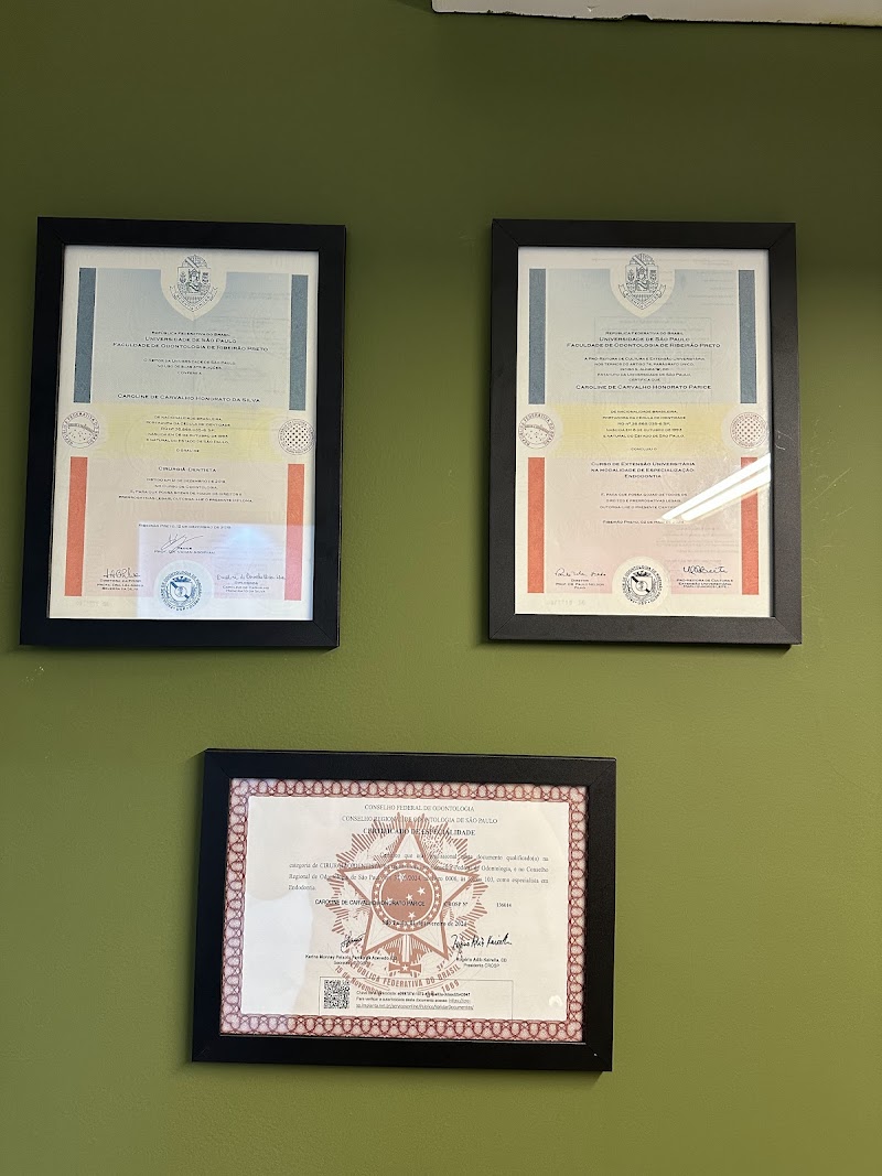 Dra. Caroline Honorato Parice - Dentista especialista em canal / Endodontista - foto 3