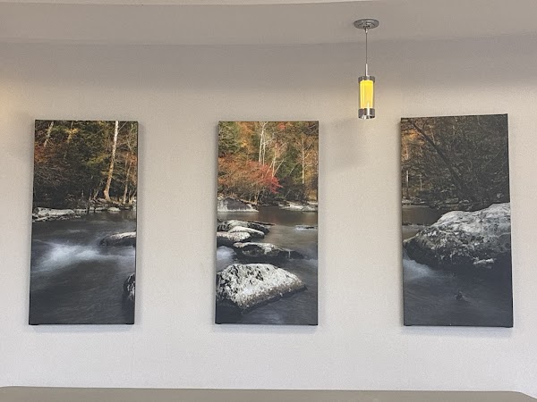 Photo by Bryan Dobson