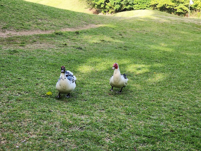 Kanehide Kise Country Club - Photo 5