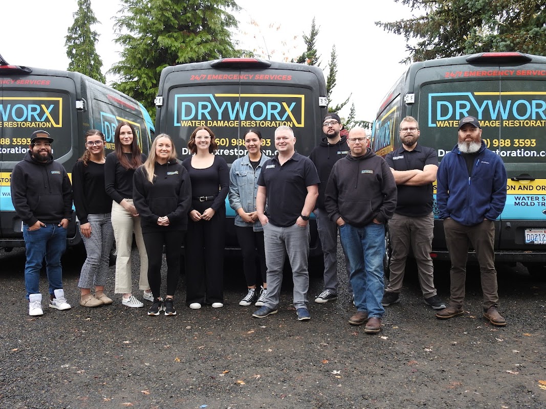 Dryworx Water Damage Restoration — photo