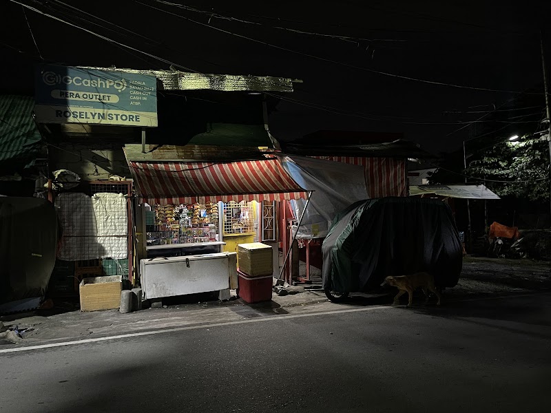 Roselyn Store