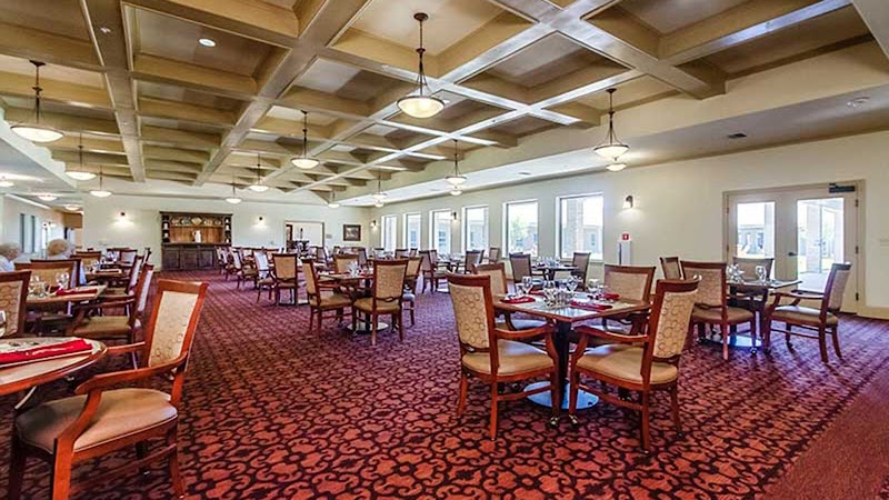 Vitality Court Texas Star