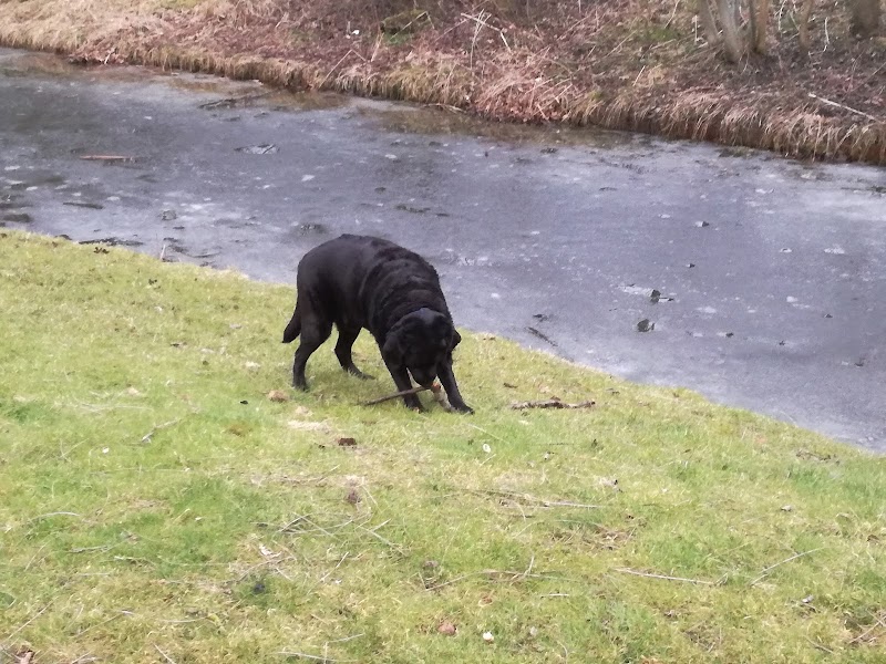 Oosterflank
