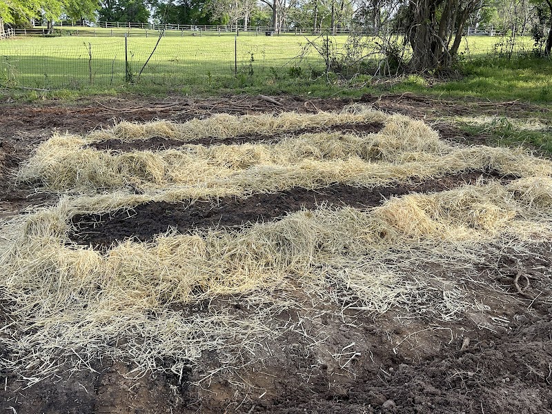 Old Byrd Farm - Photo 6