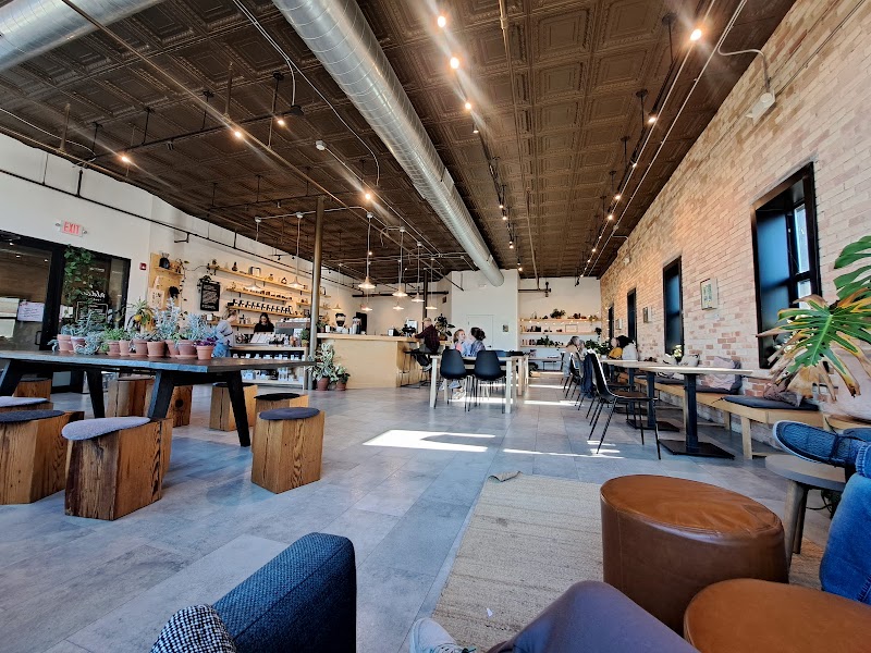 Aldea Coffee - Muskegon photo 4