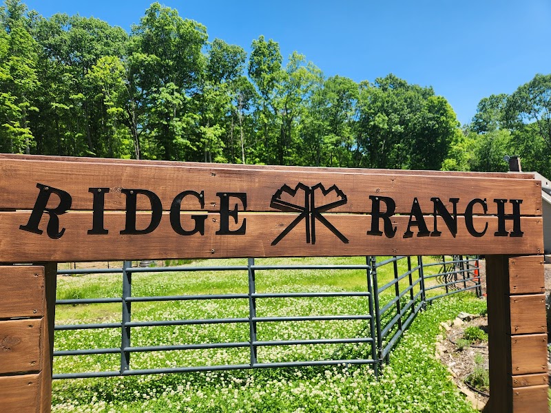 Ridge Ranch - Photo 6