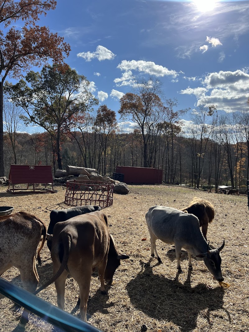 Ridge Ranch - Photo 3