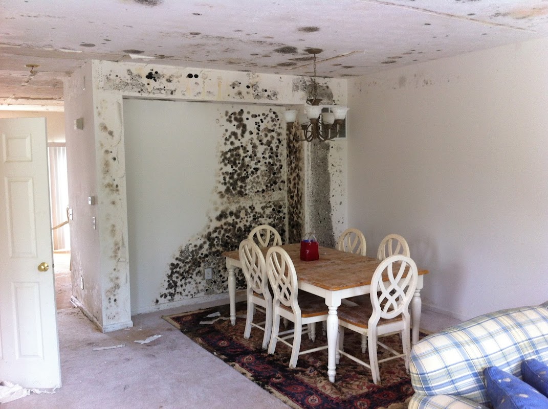 Indiana Mold Remediation — photo
