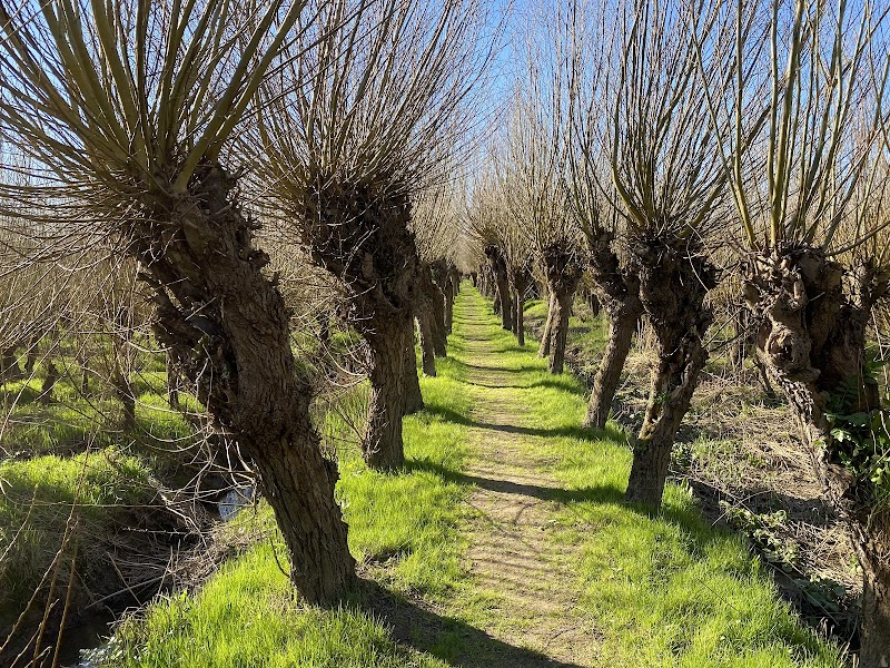 Rhoonse Grienden