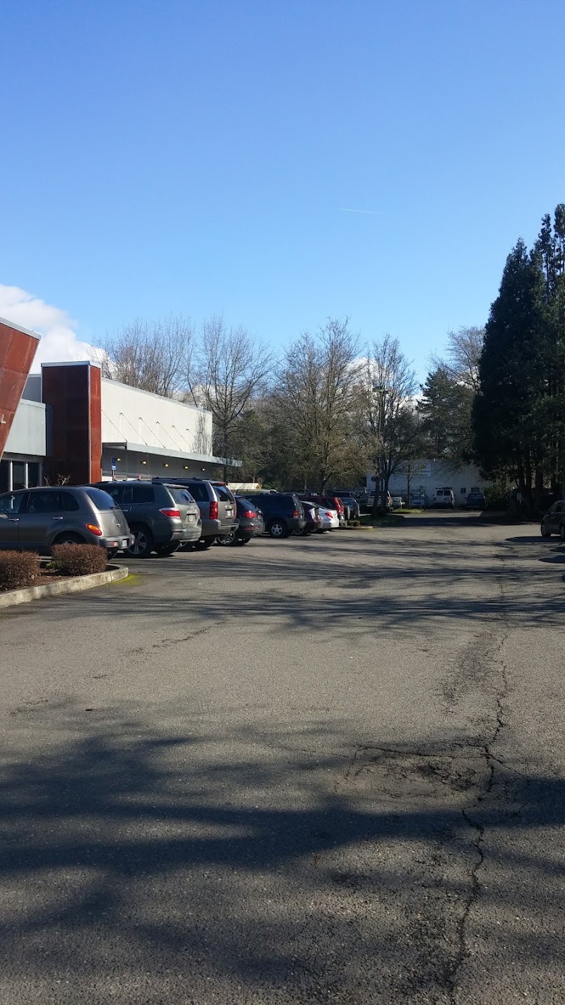 All Automotive Repairs photo 4