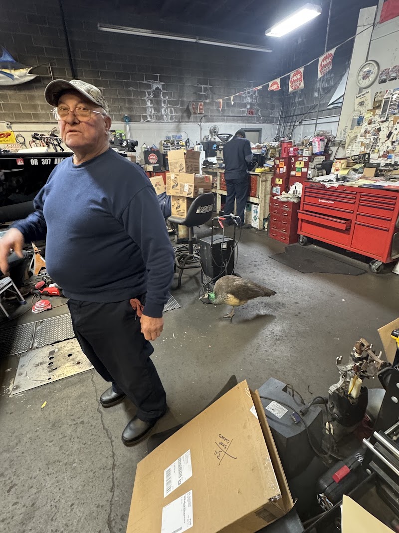 All Automotive Repairs